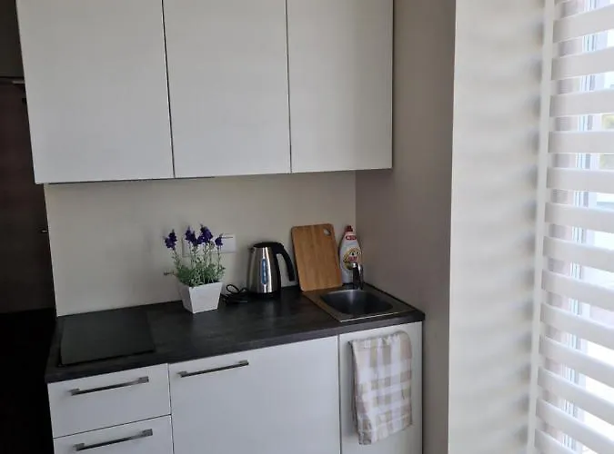 Appartement Aisa 39 *